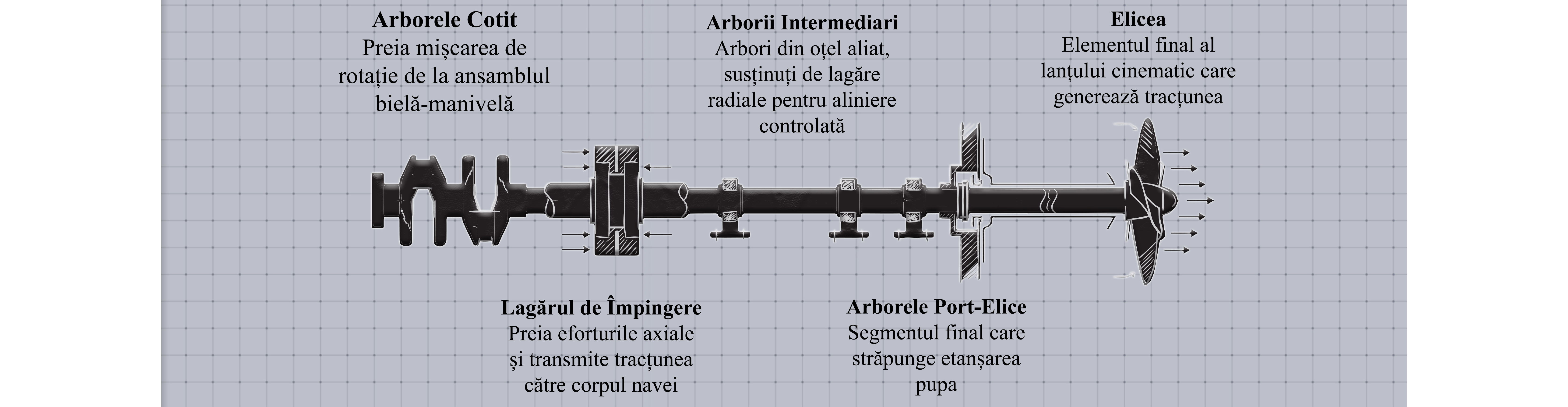 Axul port-elice — randare 3D