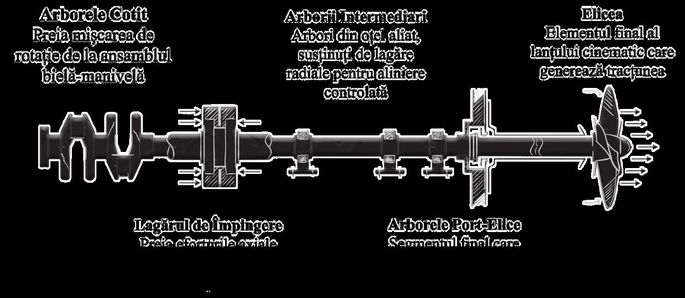 Diagrama liniei de arbori: arbore cotit, arbori intermediari, arbore port-elice, elice